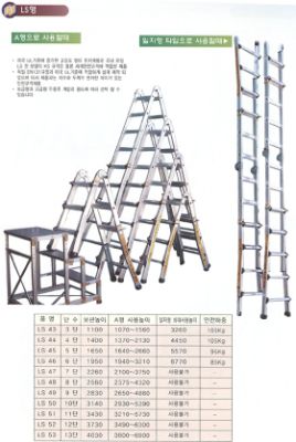 LS형