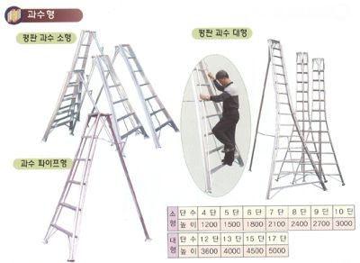 과수형